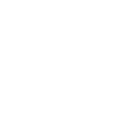 BFSPORTS