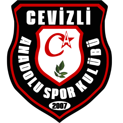 CEVİZLİ ANADOLU SPOR